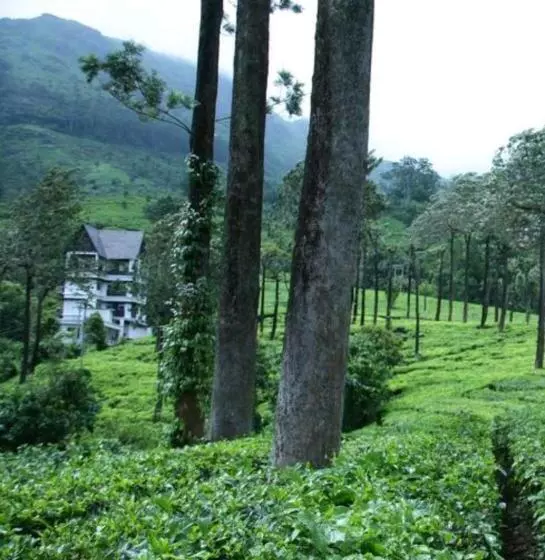 Отель Gruenberg Tea Plantation Haus