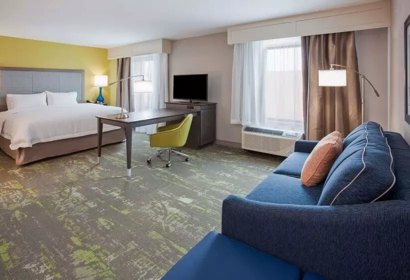 هتل Hampton Inn & Suites Sioux City South