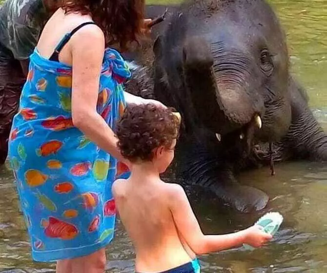 ホテル Khao Sok River & Jungle Resort