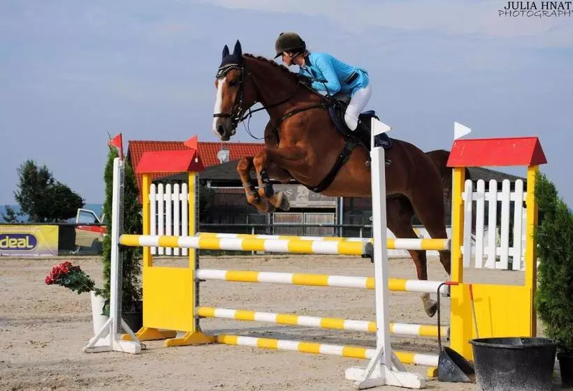 Отель Szary Residence