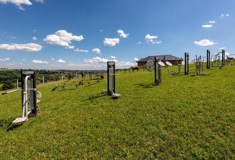 בית מלון כפרי Szary Residence