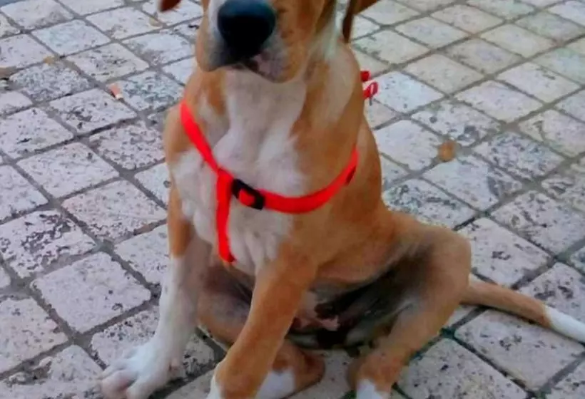 Paradise Beach Hostel