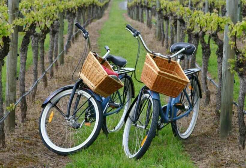 住宿加早餐 Wine & Art Relais Vallombrosa