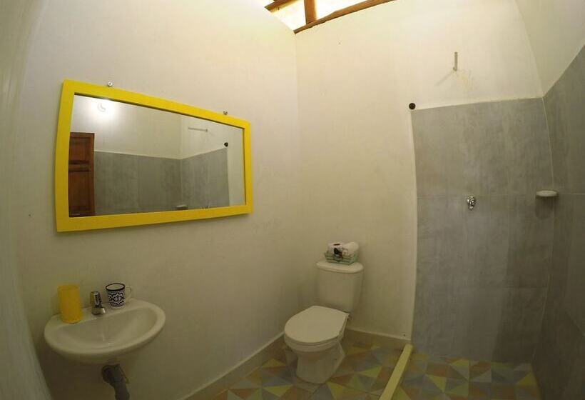 Отель Aloha Palomino