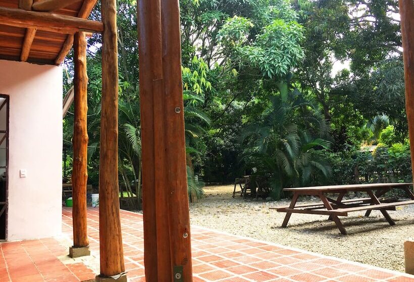 Отель Aloha Palomino