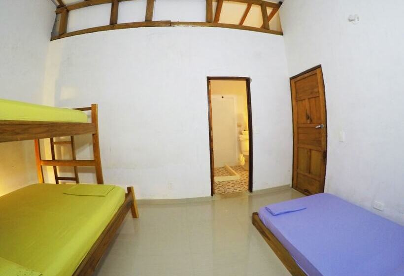 Отель Aloha Palomino