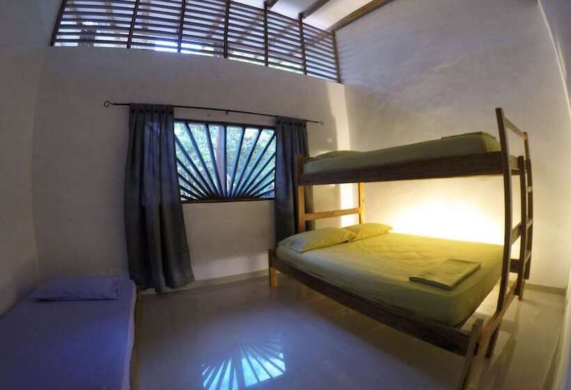 Отель Aloha Palomino