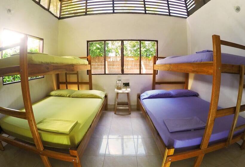 Отель Aloha Palomino