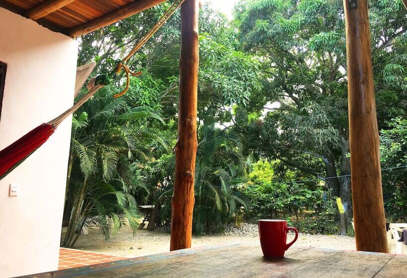 Отель Aloha Palomino