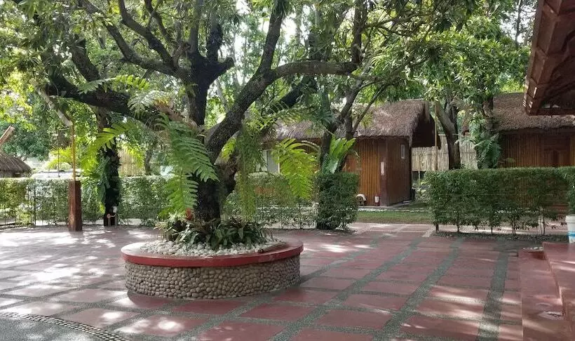 ホテル Buenavista Family Inn