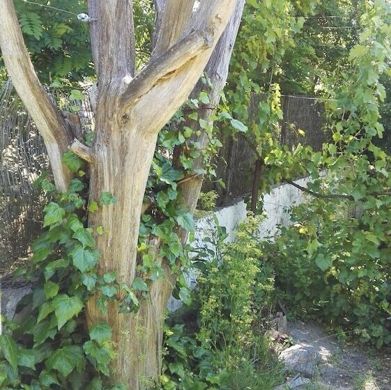 فندق El Condado Casa Rural