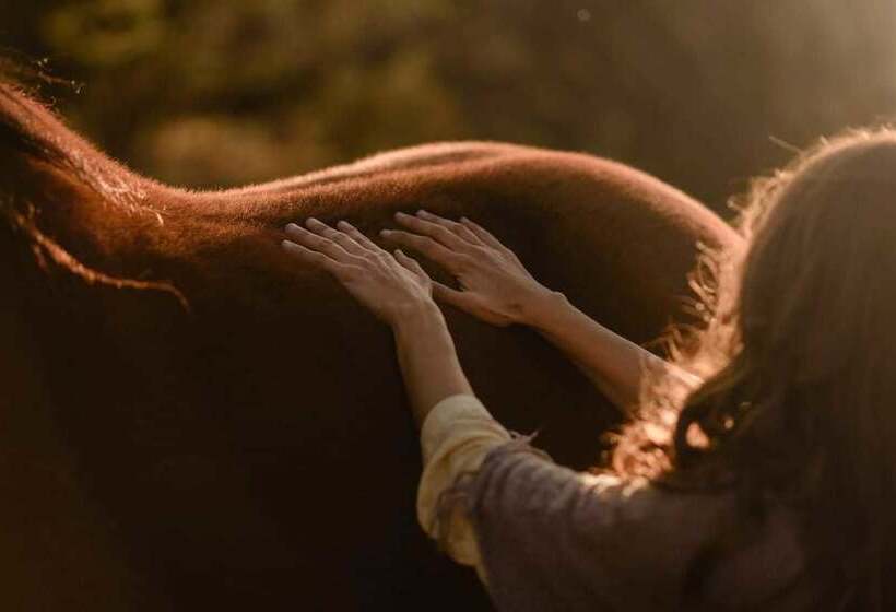 Отель Estancia La Ernestina