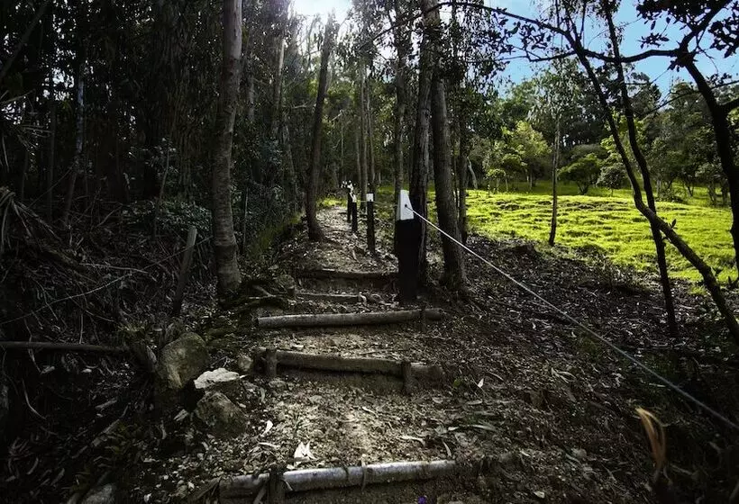 ホテル La Posada De Los Arcángeles