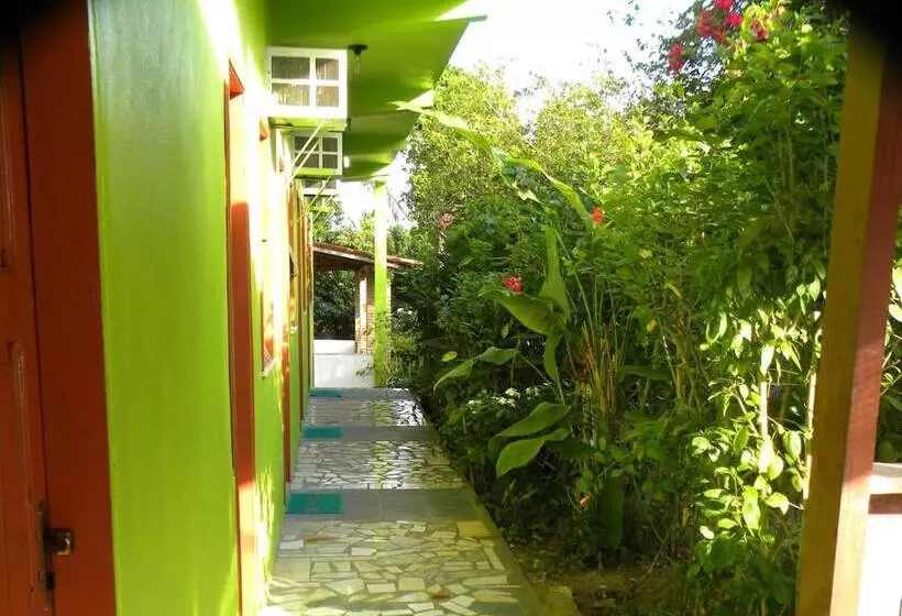ホテル Pousada Casa Verde Boipeba