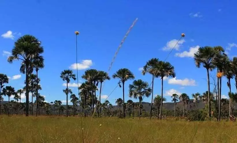 Hotelli Pousada Sertão Veredas