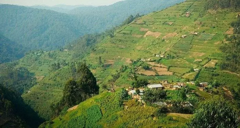 هتل Rihuja Safari Lodge