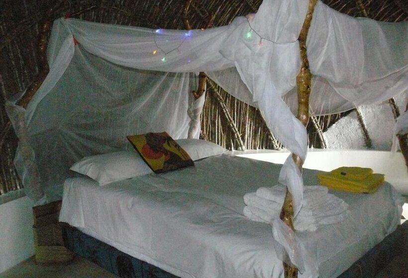 Hotel Swazi Dreams Nqabaneni Eco Volunteering