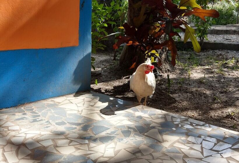 پانسیون Arijana Just Heavenly Resort