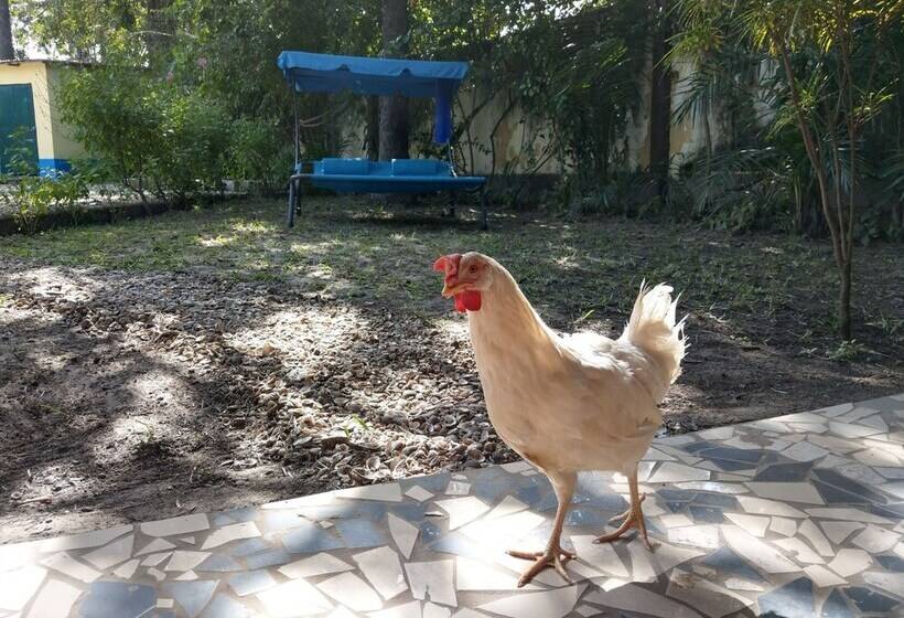 پانسیون Arijana Just Heavenly Resort