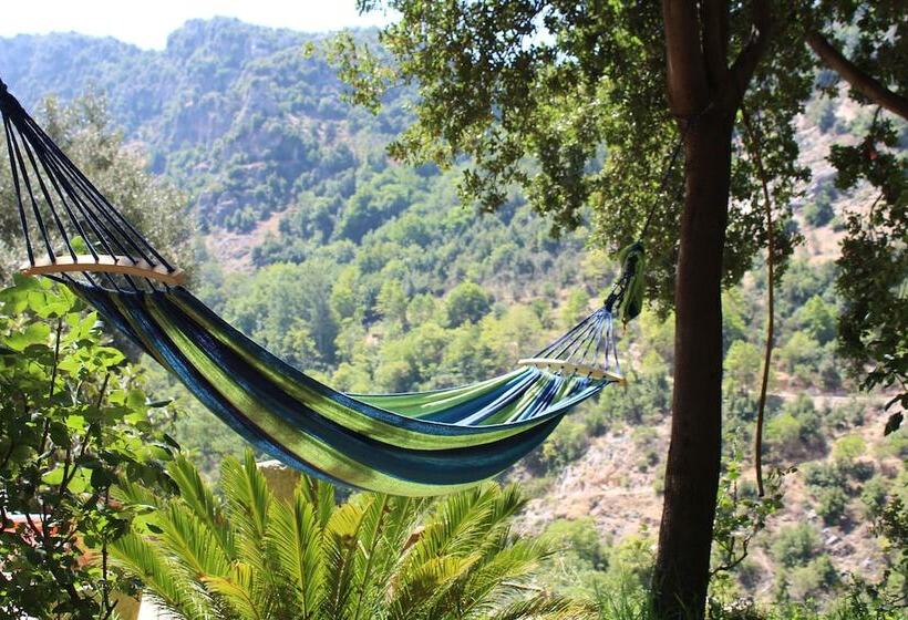 پانسیون Beit El Deek