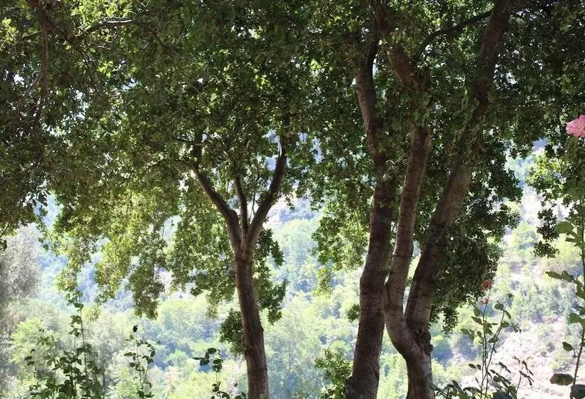 پانسیون Beit El Deek