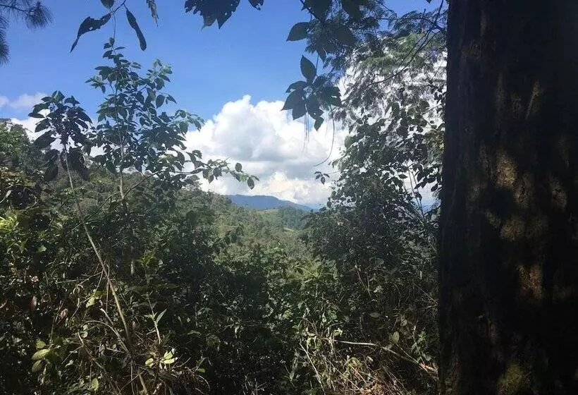 هتل Country Delights