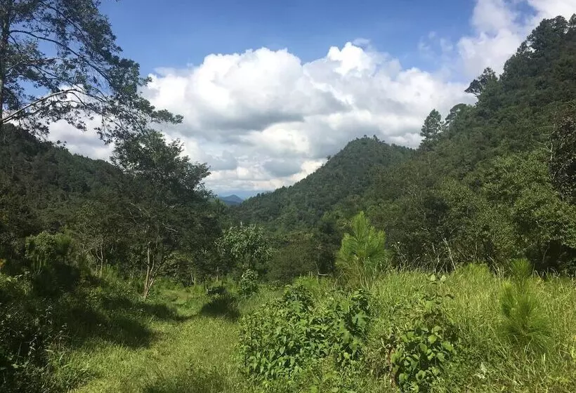 هتل Country Delights