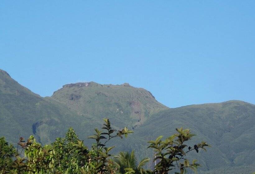 پانسیون Villa Mancina