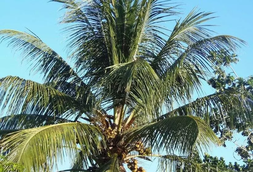 پانسیون Villa Mancina