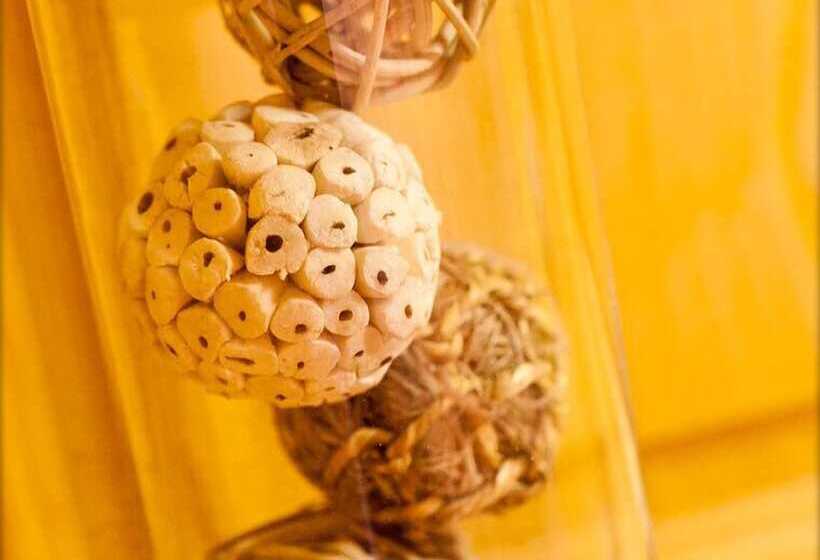 Bed and Breakfast Chambres D Hôtes Le P Tit Bonheur