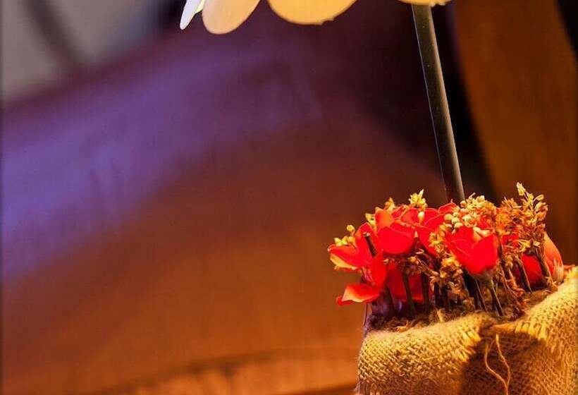 Bed and Breakfast Chambres D Hôtes Le P Tit Bonheur