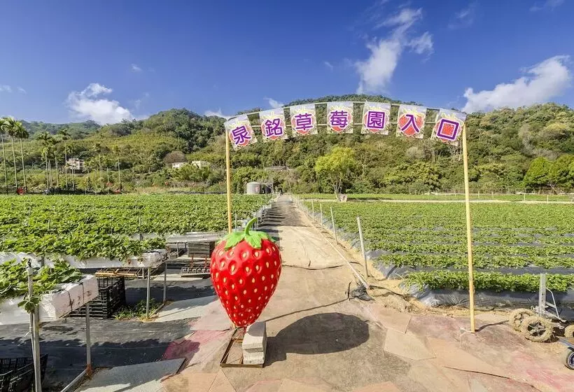 Quan Ming B&b