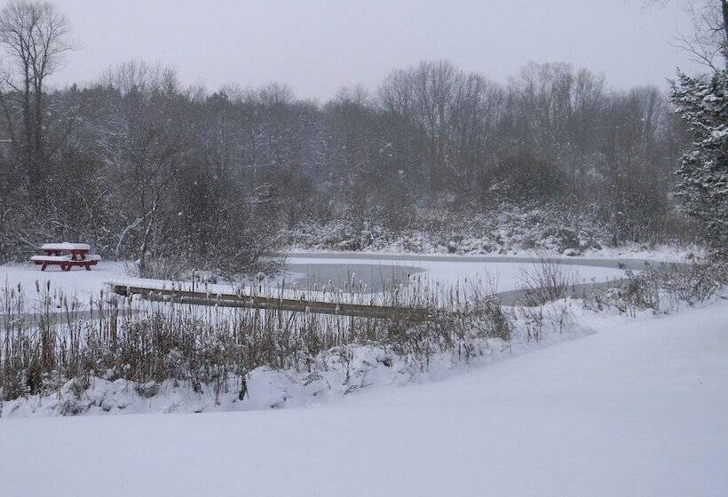 Bmi Bed & Breakfast And Oasis