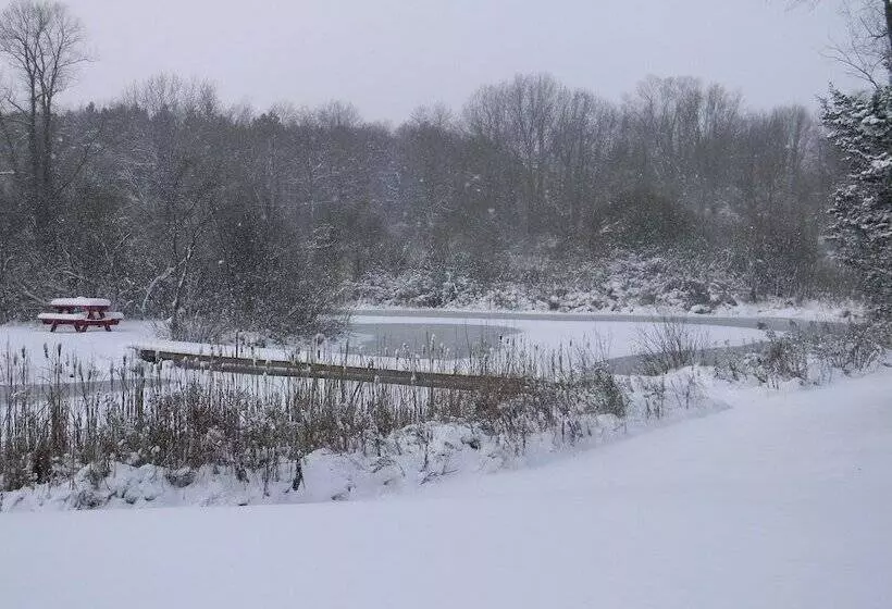 Bmi Bed & Breakfast And Oasis