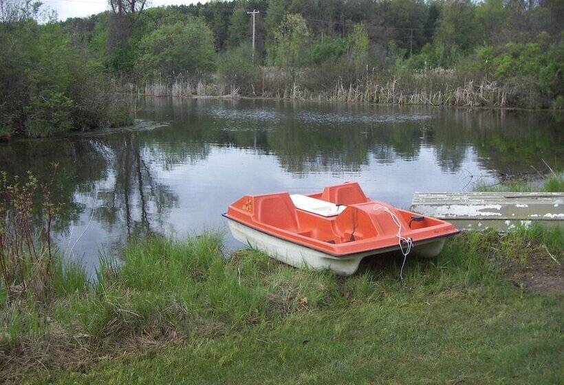 Bmi Bed & Breakfast And Oasis