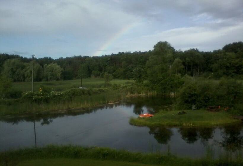 Bmi Bed & Breakfast And Oasis