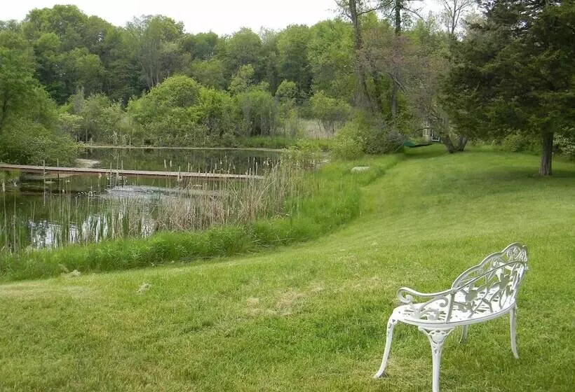 Bmi Bed & Breakfast And Oasis