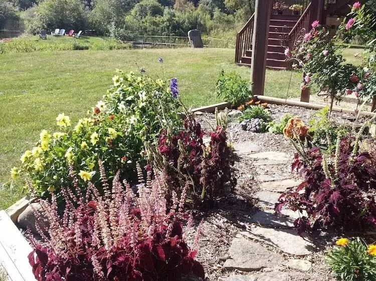 Bmi Bed & Breakfast And Oasis