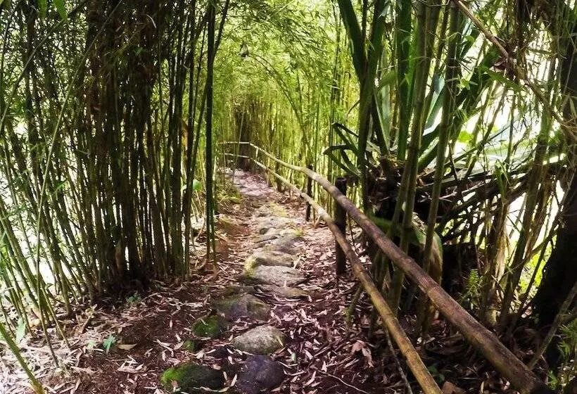 Eco Hotel Tierra De Agua