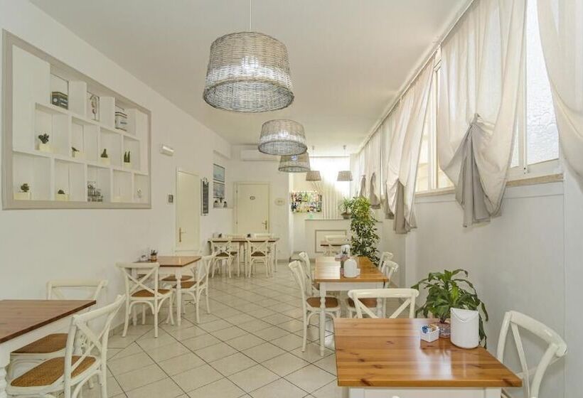 مسافرخانه City