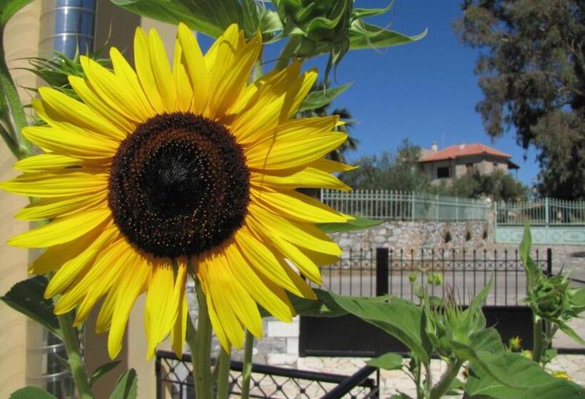 Отель Aphrodite