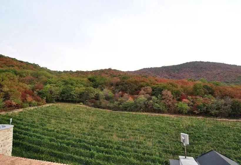 هتل Babaneuris Marani