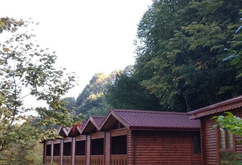 ホテル Derin Irmak Bungalow