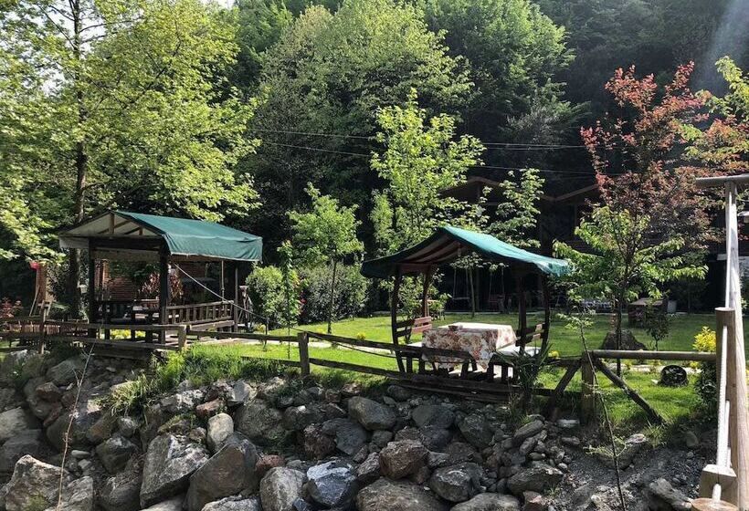 ホテル Derin Irmak Bungalow