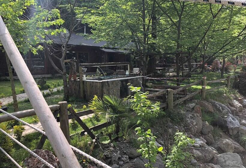 ホテル Derin Irmak Bungalow