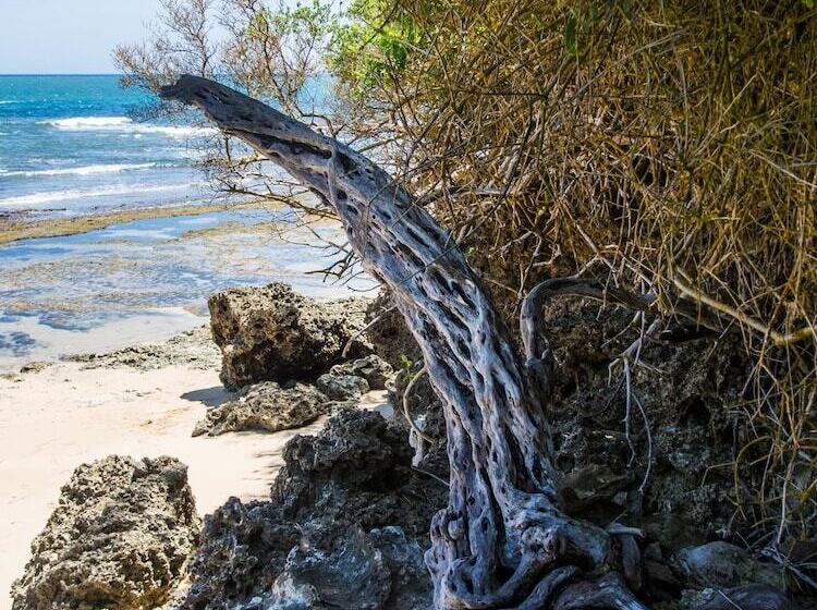 هتل Pangani Cliffs Lodge