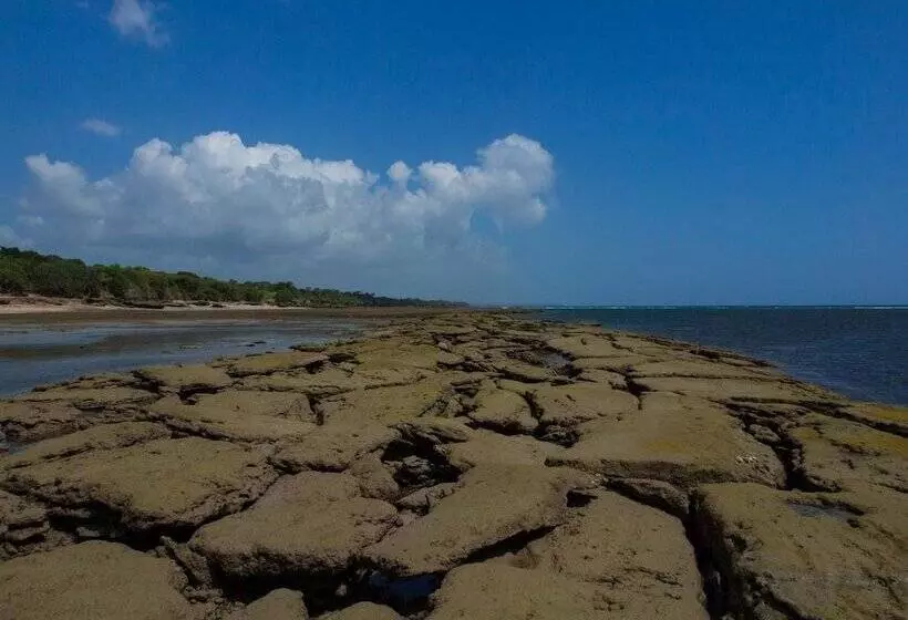 هتل Pangani Cliffs Lodge