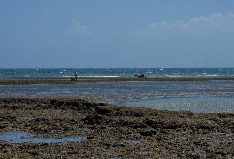 هتل Pangani Cliffs Lodge