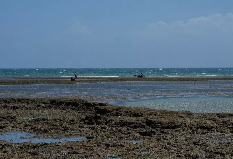 هتل Pangani Cliffs Lodge