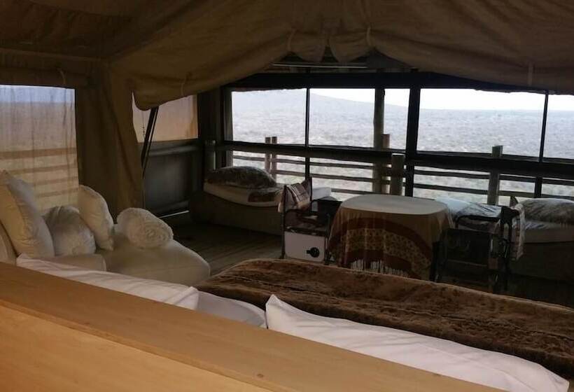 ホテル Thulani Game Lodge And Eco Estate